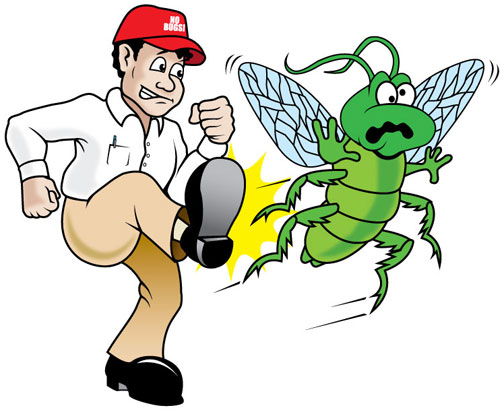 شركة مكافحة حشرات بالرياض 0594261363