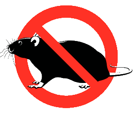 القضاء على الفئران